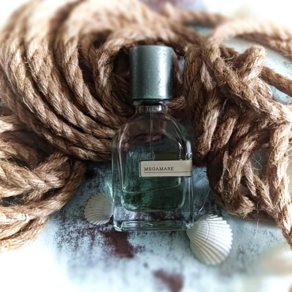 Perfume de madera Oriental de larga duración Unisex, 50ml, Aroma elegante con ámbar cálido, notas terrías de almizcle suave, fragancia cautivadora profunda