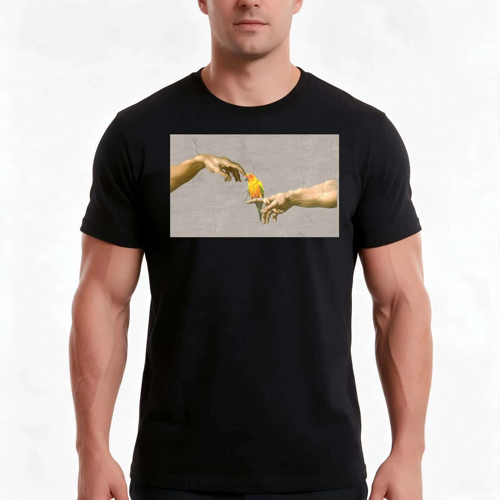 Scritching a sun conure T-Shirt, Summer Casual Cotton Tee, Oversized Streetwear Tops, Vintage Graphic Print, Unisex Men Women