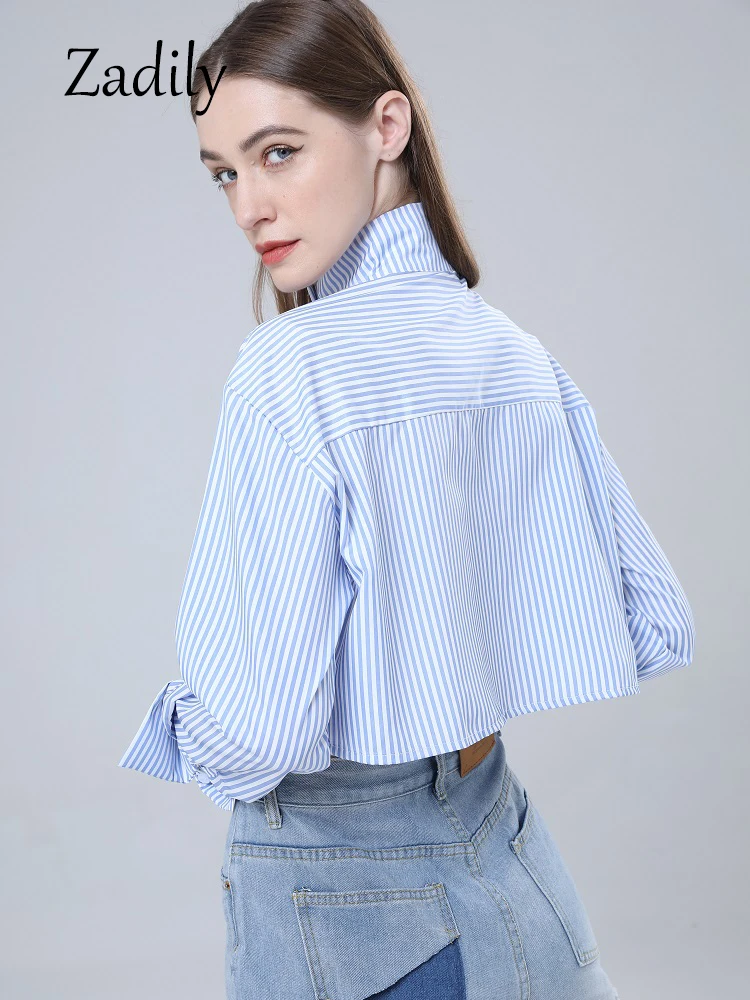 Long Sleeve Striped Shirt Korean Style Button Up Stand Neck Crop Tops Embroidery Ladies Blouse Streetwear Clothing Sumer 2024