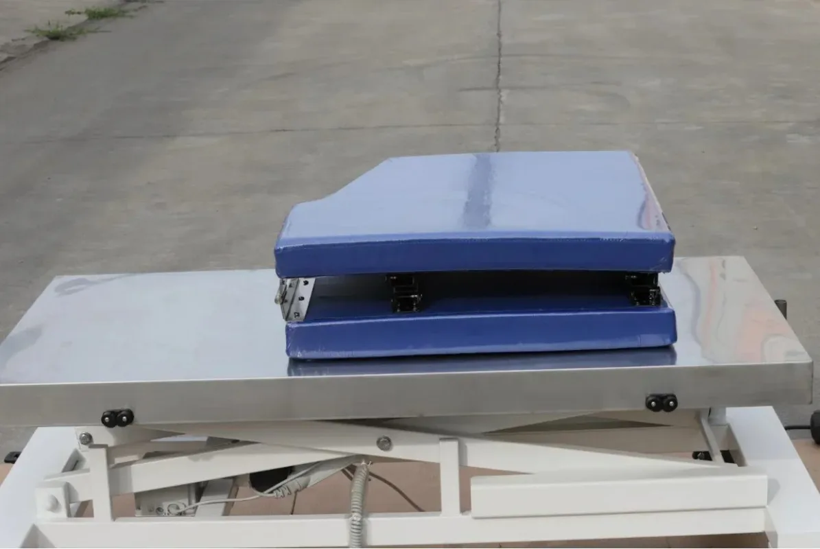 Aeolus Professional Mobile Lifting Echocardiography  Vet Practice  Cardiac  Imaging