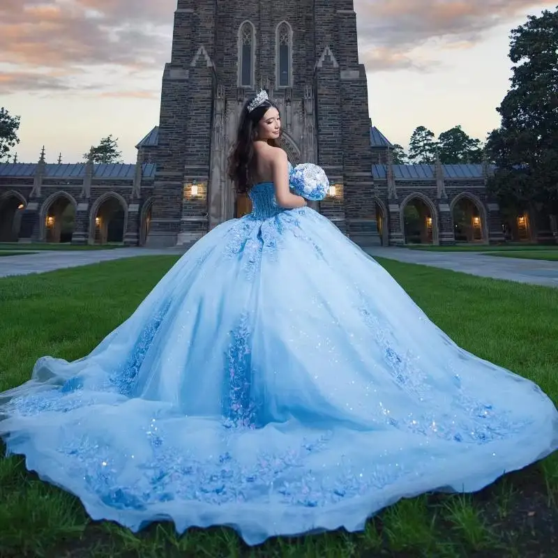 Sky Blue Shiny Quinceanera Dresses Ball Gown 3D Floral Applique Beading Tull Sweet 16 Dress Vestidos De XV 15 Anos