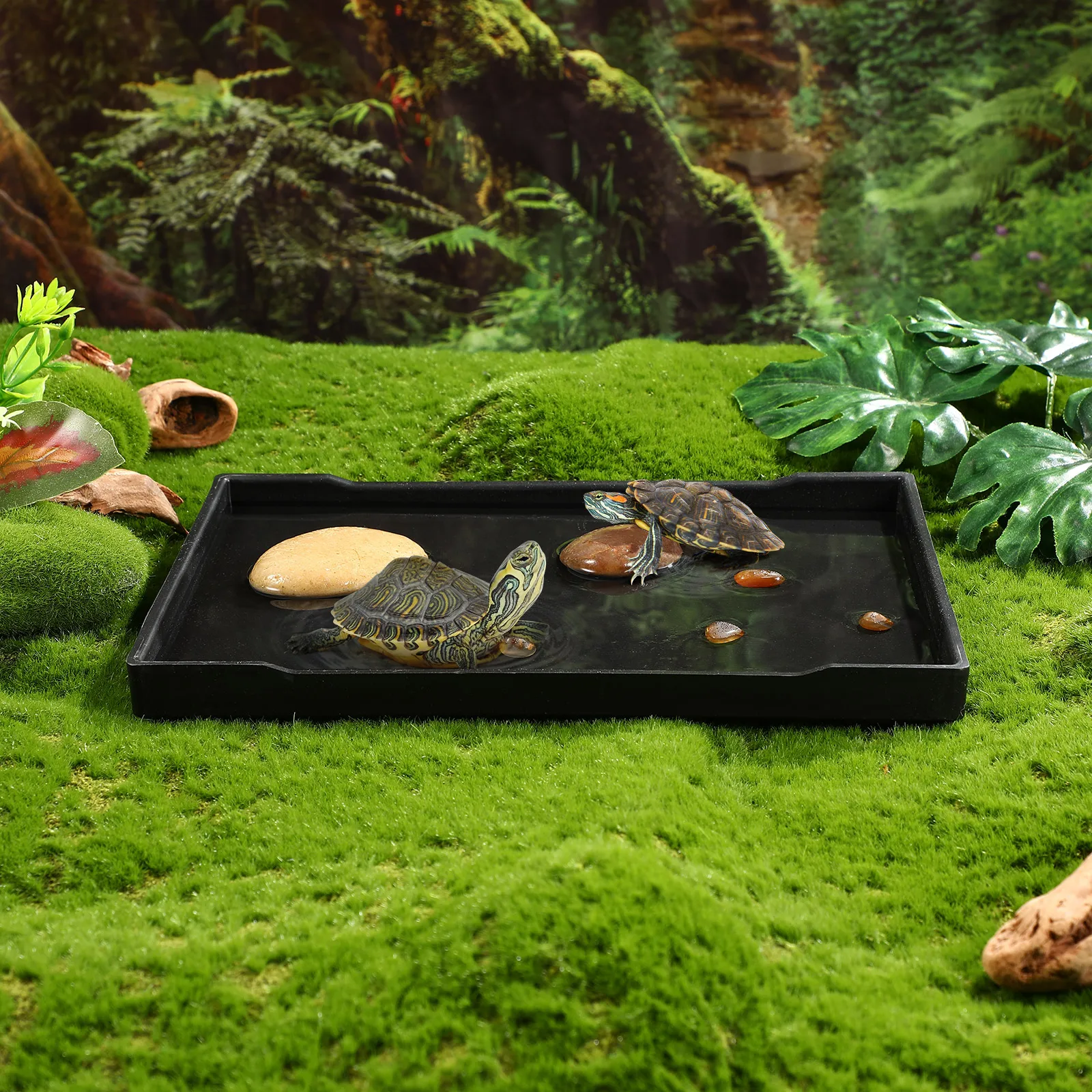 

Reptile Water Bowl Durable Food Dish for Tortoise Turtle Smooth Escape Proof Edge Natural Pet Supplies Feeding Accessories