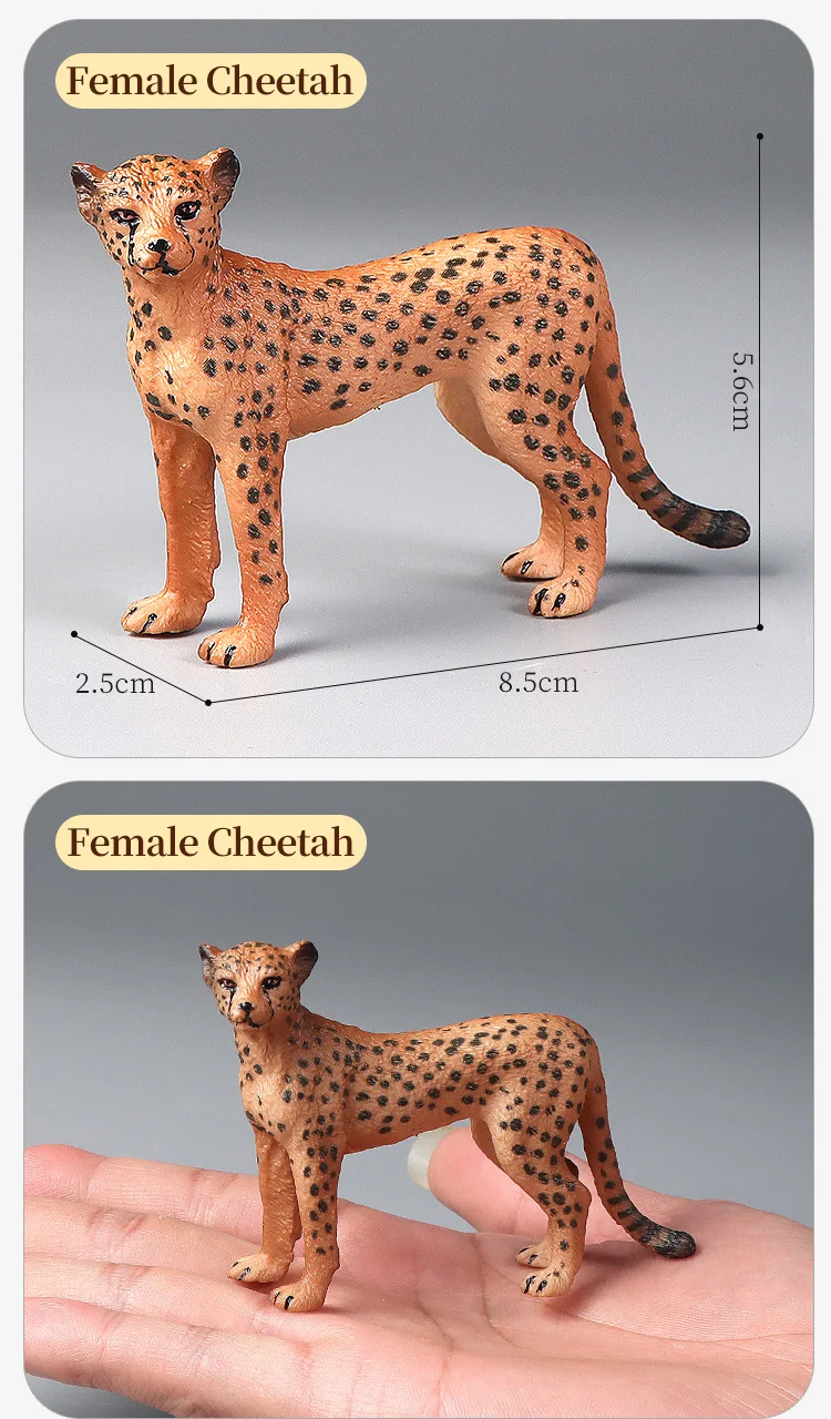 Pädagogisches Set mit simulierten Wildtierfiguren – Aktionsmodelle mit Geparden und schwarzem Panther für Kinder, Dekoration und Lerngeschenk – Detail 5