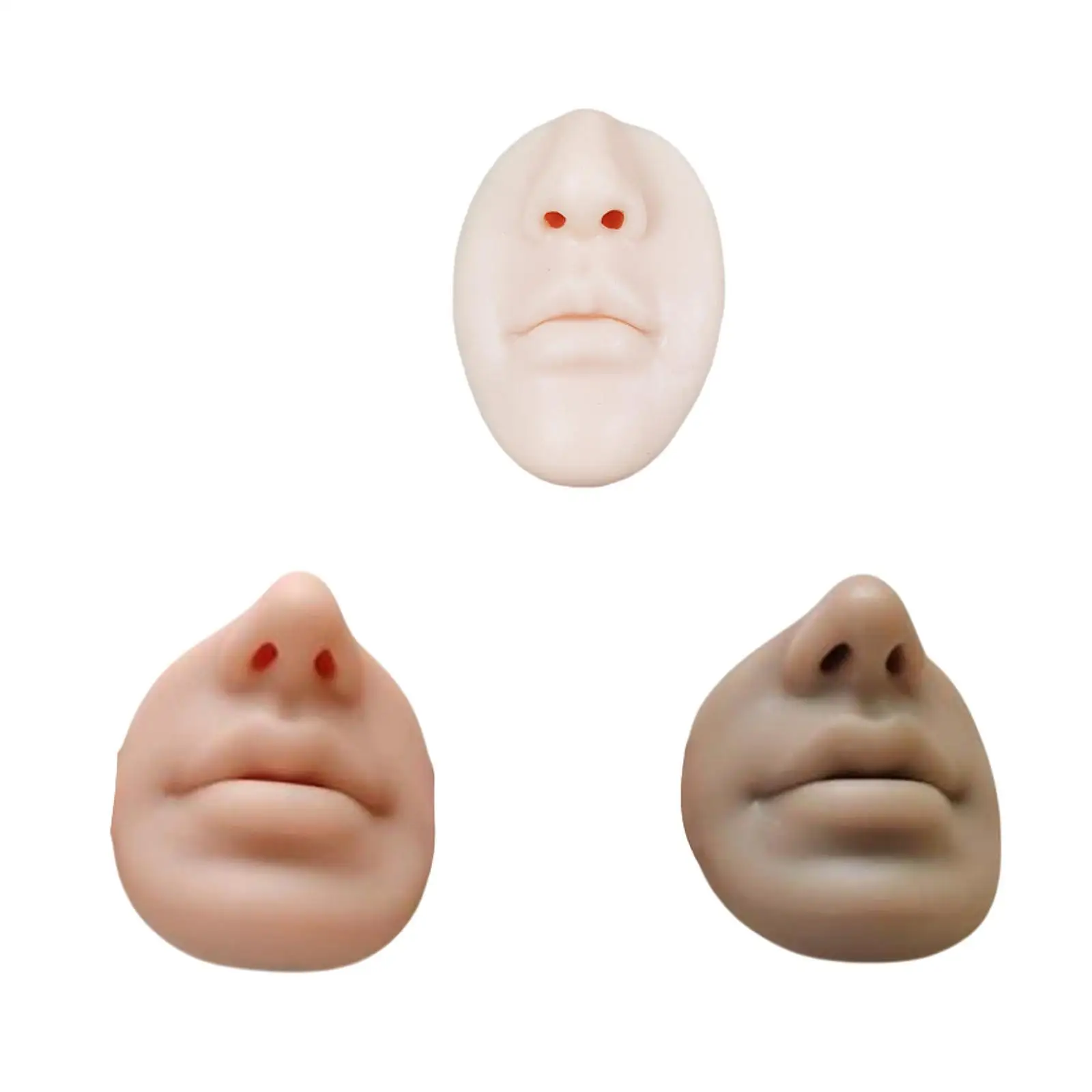 

Silicone Nose Lip Model Flexible Soft Mannequin Teaching Tool Mouth Model Shop