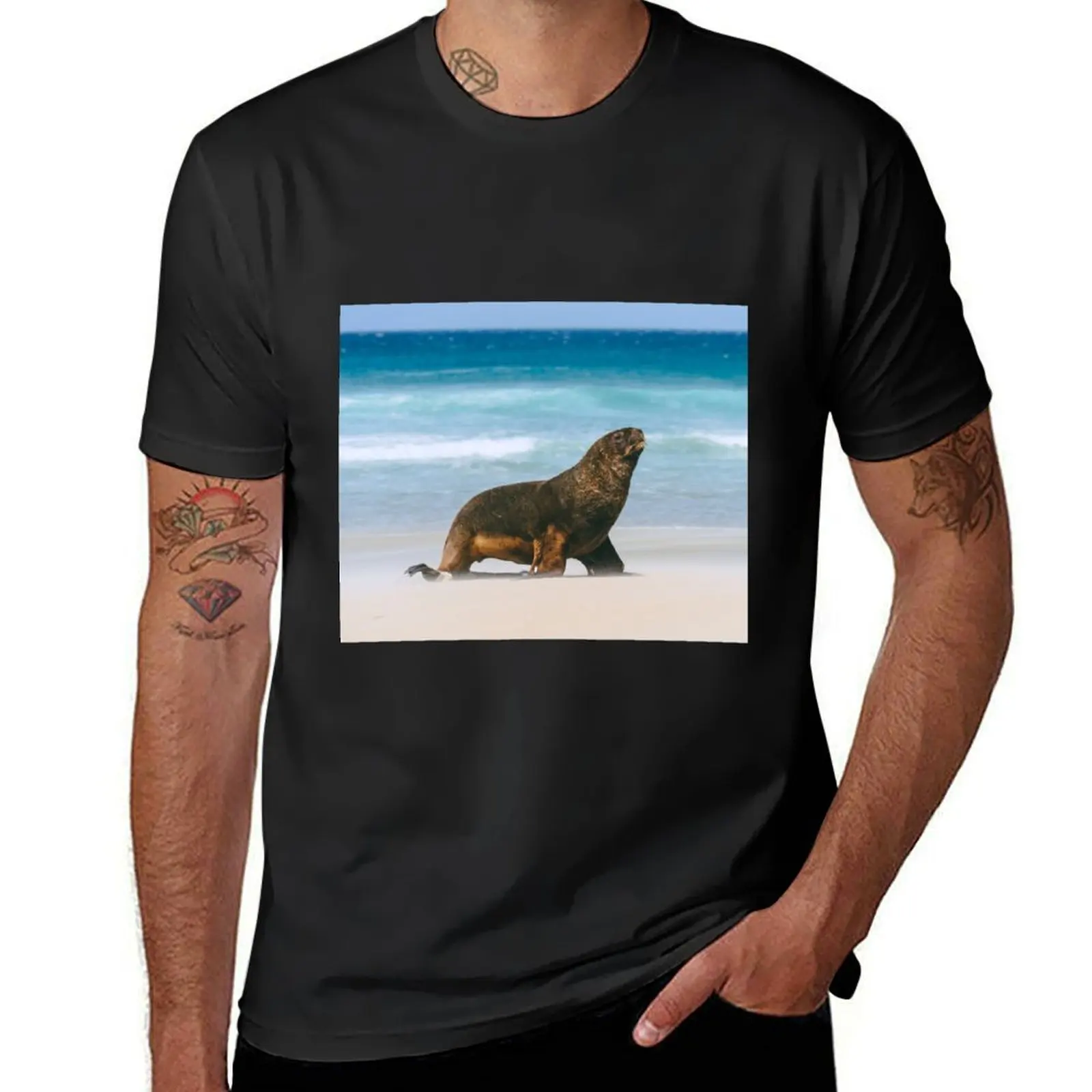 

Sea Lion and Ocean Waves at Beach in Otago New Zealand T-Shirt korean fashion oversized quick drying slim fit t shirts for men