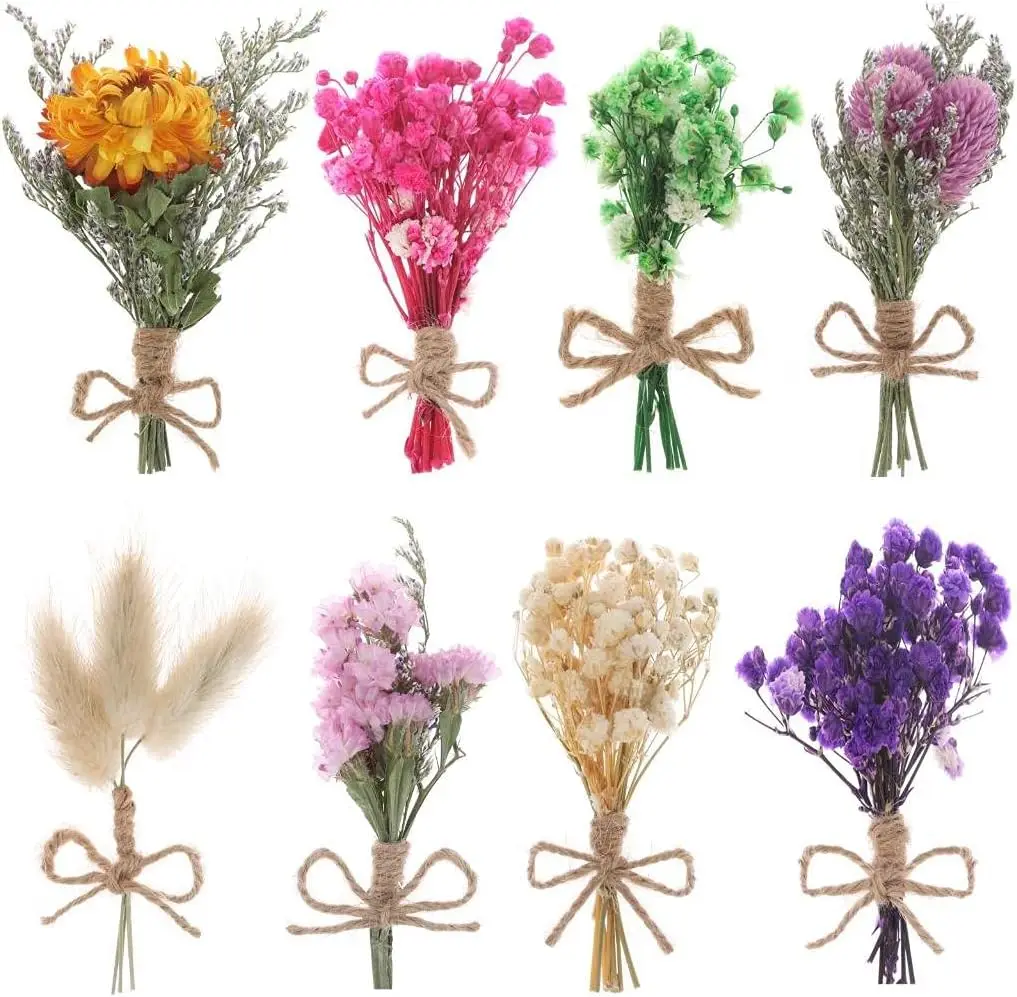 8 Pcs Mini Gypsophila Bouquets Dried Flower Daisy Bundles Dry Flower&Leaves Natural Lagurus Dried Embossing Flower Plant Stem