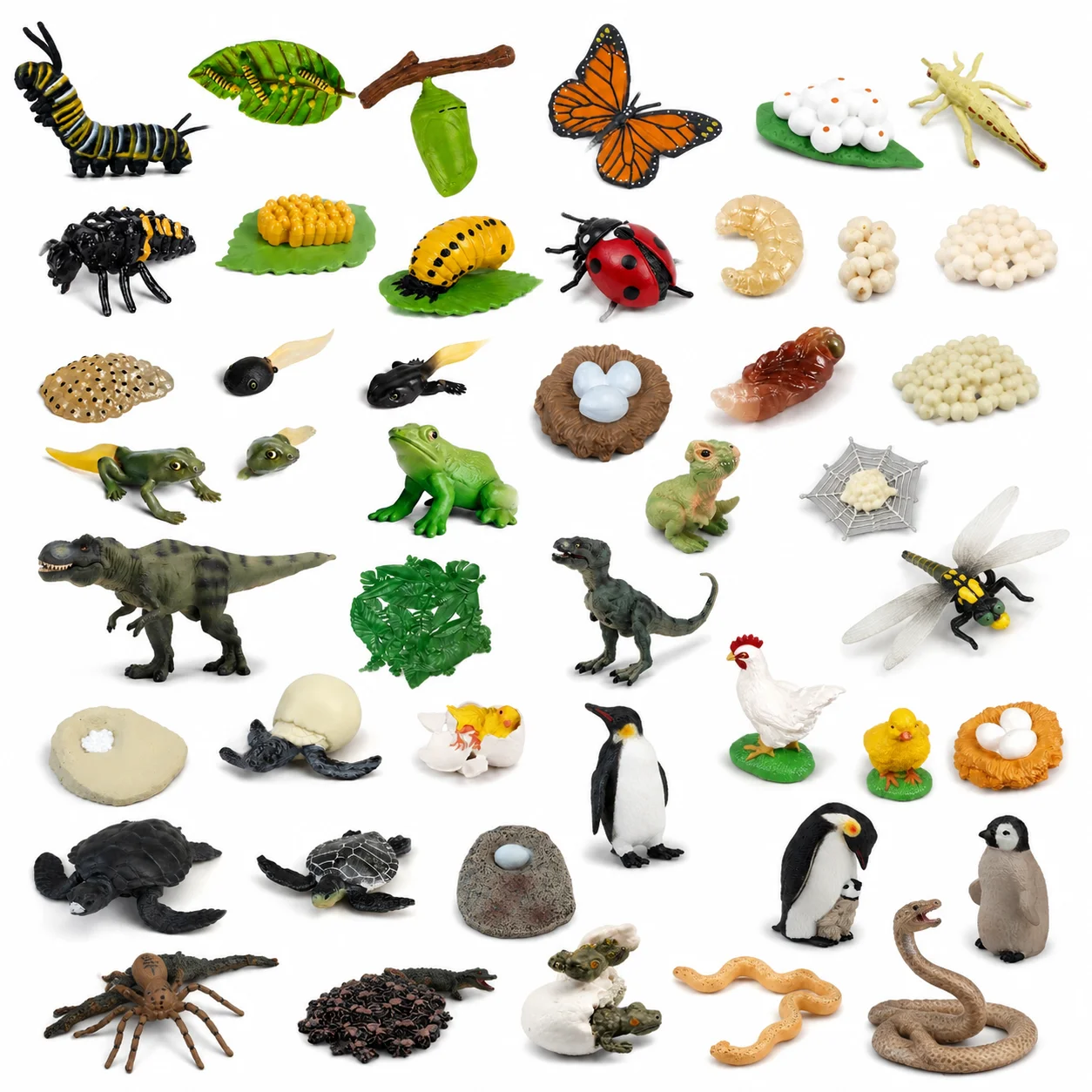 Children Simulation Biology Model Toy Animal Plant Life Growth Cycle Montessori Children Toys Set Teaching Aids Educational Toys