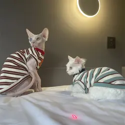 Ropa de algodón para gatos Sphynx y Devon Rex de verano y primavera