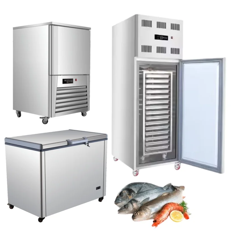 RM Guangdong guangzhou frizer flash meat other iqf quick instant tuna commercial fast machine air blast freezer equipment