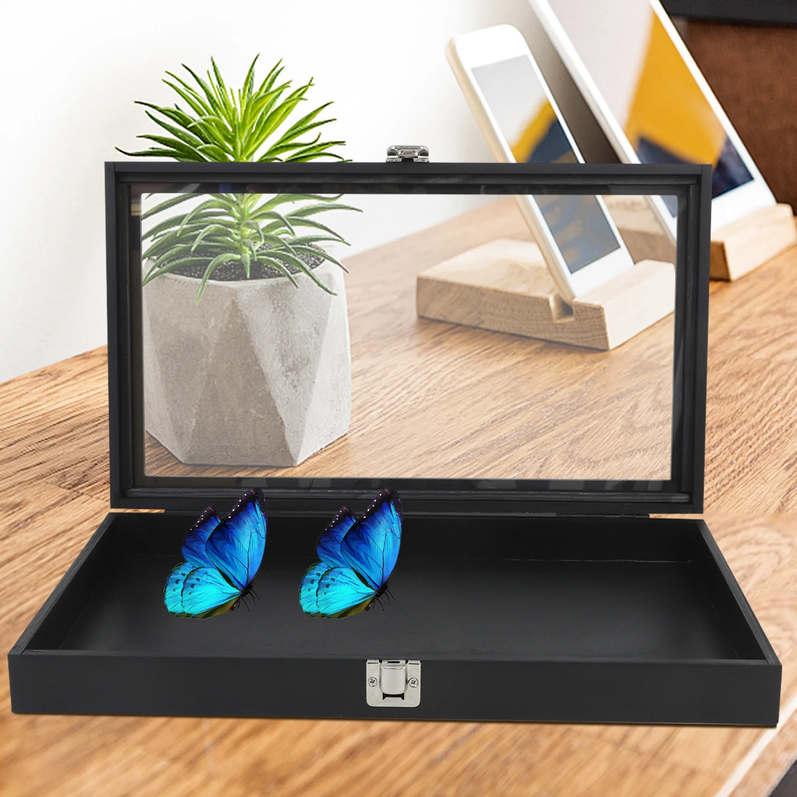 

Wooden Specimen Display Box Butterfly Flip-Top Storage Case Transparent Lid Collectable Shadow Box Jewelry Storage
