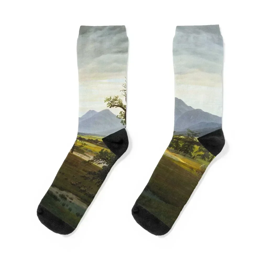 

The Lonely Tree - Caspar David Friedrich 1822 Socks floral hockey Mens Socks Women's