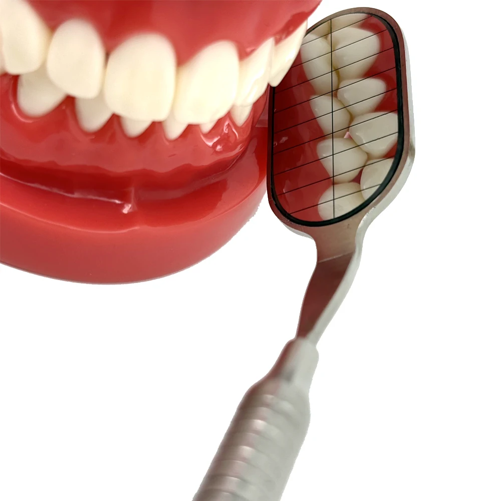High Quality Rhodium Coated Long Dental Mouth Mirror Anti Fog Reusable Oral Exam Tool