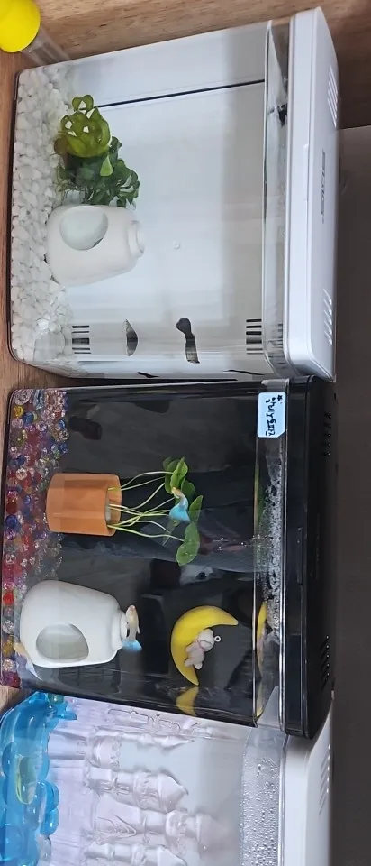 리뷰 사진