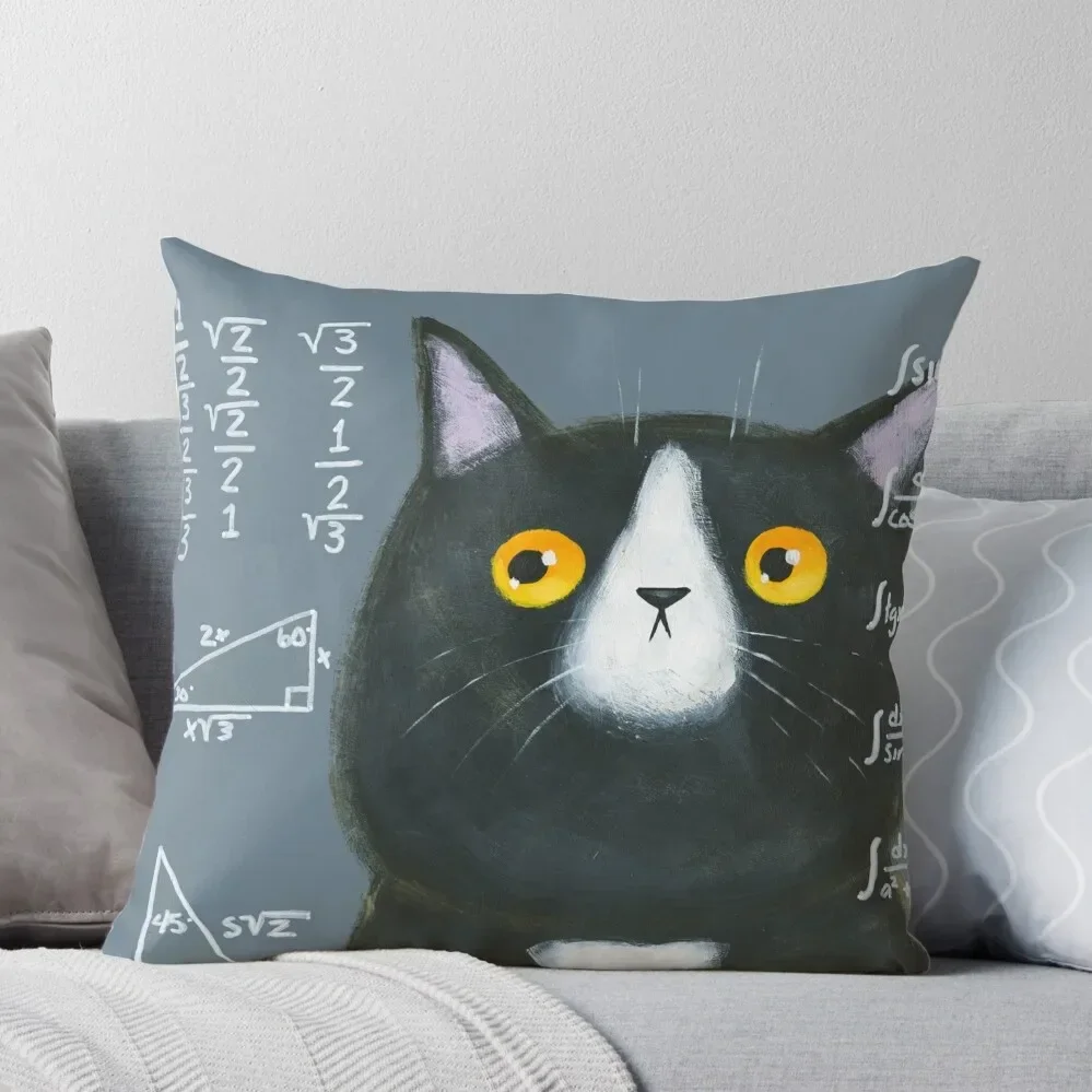 

Maths Cat Throw Pillow luxury throw pillow covers luxury decor Cushion Cover For Sofa Pillow