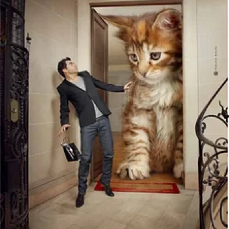 

Передний бампер для FMS 1/24 FCX24M Camel Cup D90 D110 Defender First Generation Range Rover Discovery