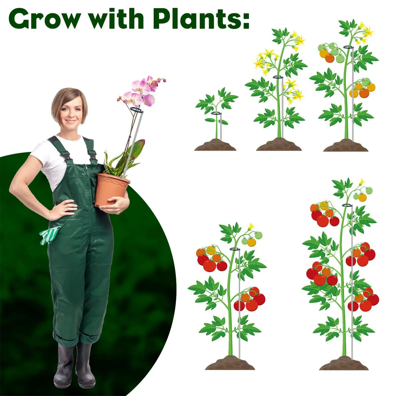 

Опорные колья для растений, выдвижные колья для горшечных растений, 10 шт., держатель для стержня из нержавеющей стали с зажимом для овощей, цветов