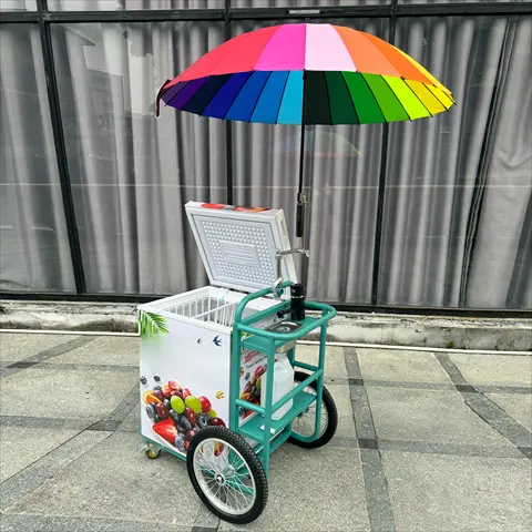 Mobile Street Mini Ice Cream Cart Popsicle Vending Machine Refrigerated Cart Tricycle Food Bike
