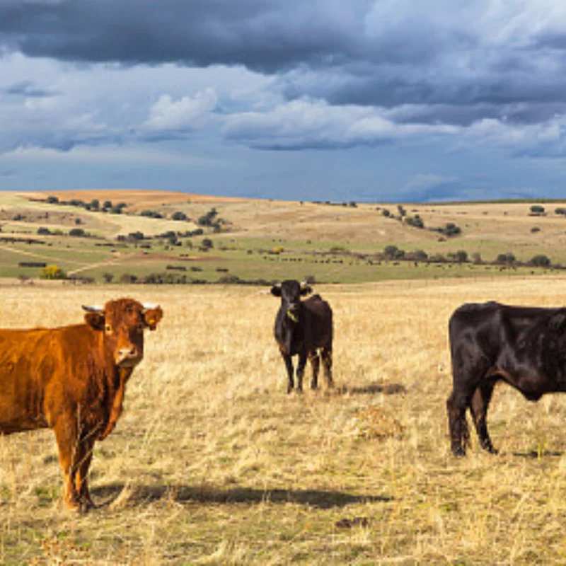 

1:10 On-Road Car Tires 68MM High Grip Rubber Tyre Hot Melt Tire HSP HPI HIMOTO 94123 FW06 TT02 E10 Abrasion Resistant Racing Car