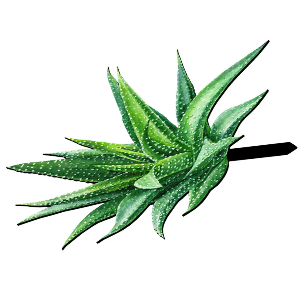 

Acrylic Aloe Shape Garden Stake Yard Ornament Outdoor Ground Insert Lawn Decoration Garden Inserted Sign for Yard Pathway