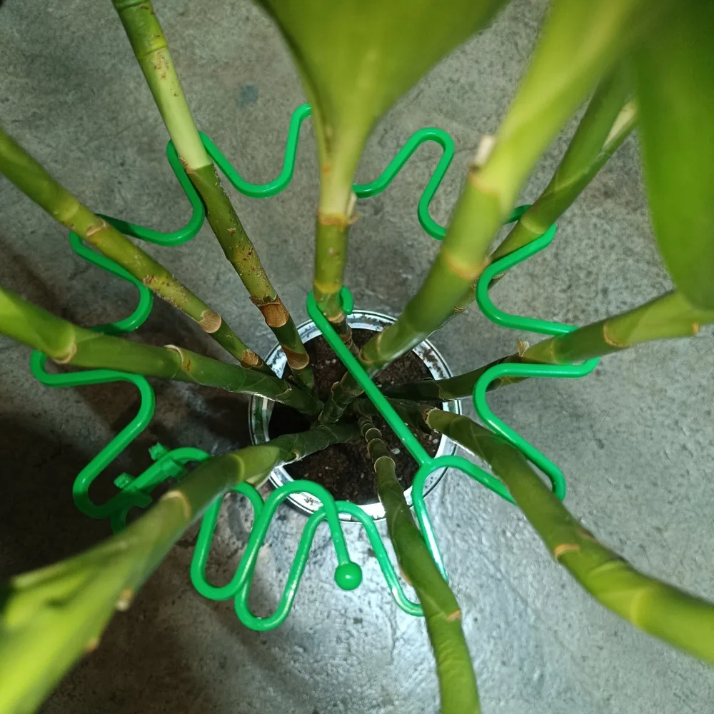 Round Edge Adjustable Plant Stem Support Lodging-resistant ABS Flower Climbing Stem Holder with Hook Garden Plant Trellis