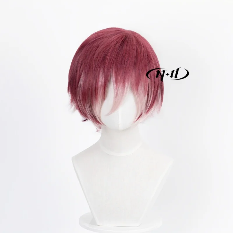 ND Ayato Sakamaki Cosplay Wigs Hairpiece Diabolik Lovers Cosplay Hair Wig for Comic Con Coser Costume Theme Party Heat Resistant