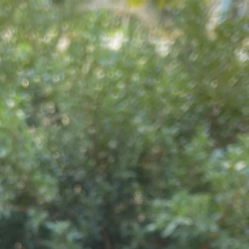 

Прочное биде для унитаза, портативная крышка для биде для путешествий, сверхлегкая гигиеническая насадка для бутылки с водой для пеших прогулок или кемпинга