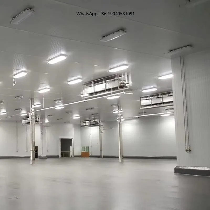 International Standard Large Cold Storage Commercial Refrigeration System with Soundproof Container Motor Gear for Food Storage