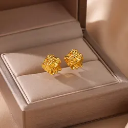 Stainless Steel Earrings for Women Girls Classic Gold Color Piercing Stud Earrings 2024 Trend Waterproof Couple Ear Jewelry Gift