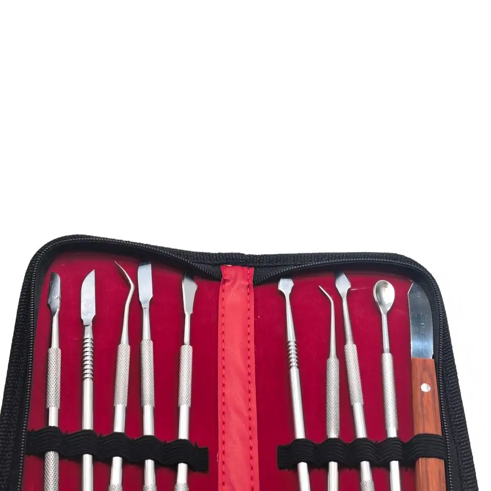 10Pcs Set Dental Lab Wax Carving Kit Stainless Steel Wax Carvers Spatulas Wooden Handle Knife Tools  Zipper Case