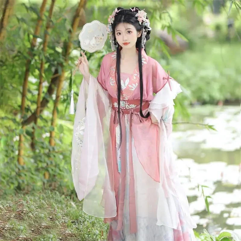Robe Hanfu traditionnelle chinoise pour femmes, broderie de prairie, costume de danse folklorique de scène, rétro, dynastie Son