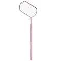 M11 Rosa
