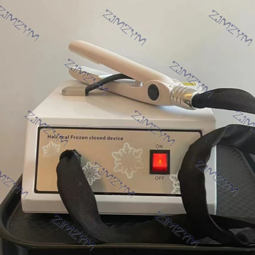 Professional Handheld Hair Freezing Closure Device For Hair Care Salon Hairdressing and Hair Care Device