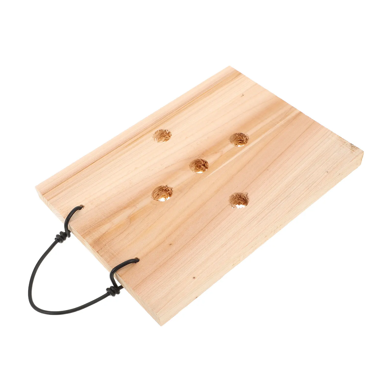 Solid Wood Wall Planter Board for Ferns Orchids Air Plants Vertical Indoor Plant Display Reusable Hanging Planter Frame Home