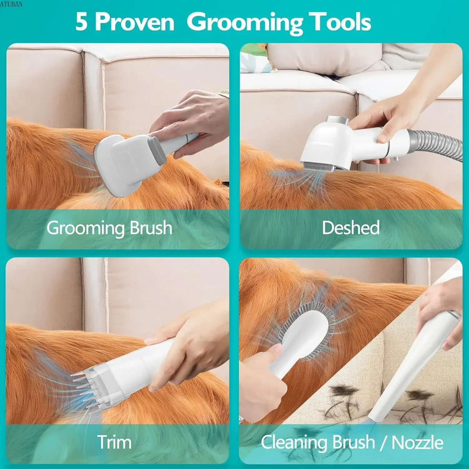 Imagem -02 - Low Noise Pet Grooming Kitdog Clippers Sucção a Vácuo 2.3l 99 Pet Hair Ventilador de Água Pet Grooming Tools