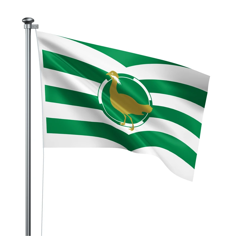 Gaslight Gatekeep Girlboss 5' x 3' Wiltshire England Flag Banner Polyester with Brass Grommets 150cm x 90cm
