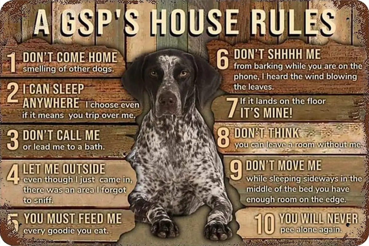 German Shorthaired Dog Poster Metal Tin Sign A Gsp's House Rules Aluminum Metal Home Poster Plaque Home Club Store Bar Cafe