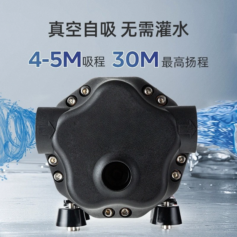 Diaphragm pump large flow