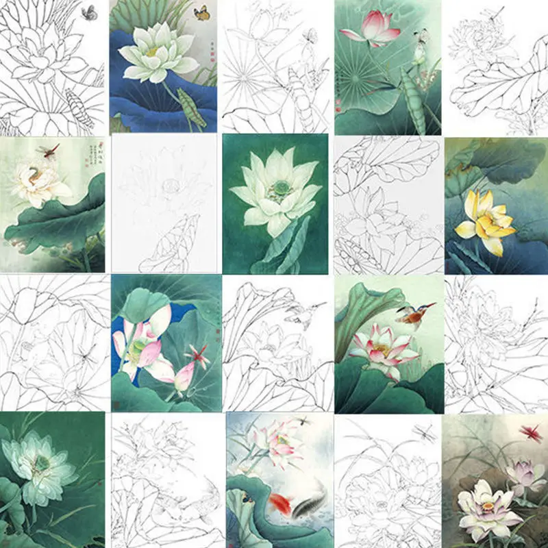 Lotus Leaves Carp Birds Meticulous Painting Baimiao Xuan Paper Line Drawing Manuscript Beginner Copying Practice Ripe Xuan Paper