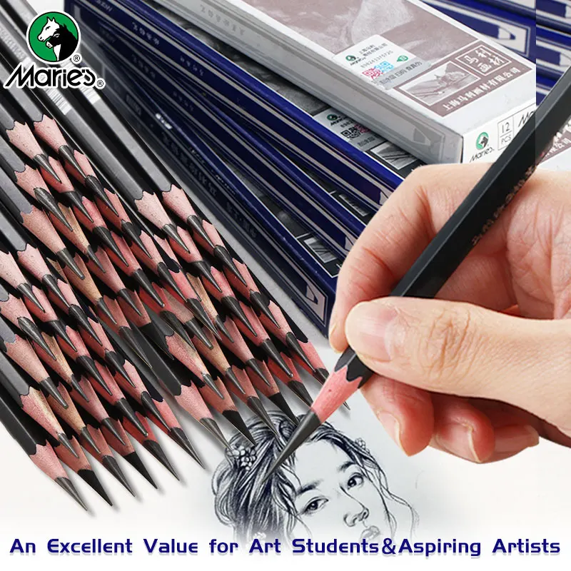 12pcs Marie's Professional Pencil Set for Draw Sketch Layering & Shading ,Art Graphite Supplies for Adults Beginners & Artists