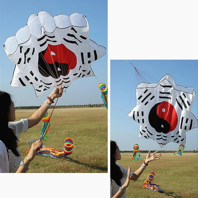 free shipping 3d kites flying soft kites gossip kite nylon ripstop giant inflatable kites Chinese traditional kites eagle toy