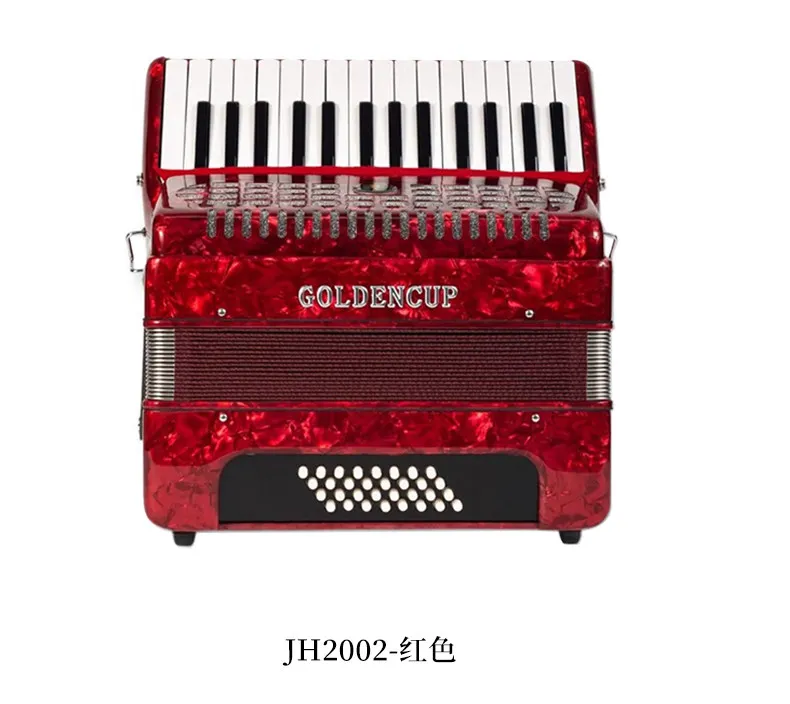 Children Piano Keyboard Accordion, 8/16/32/48 Bass, Entry Level for Kid Beginners