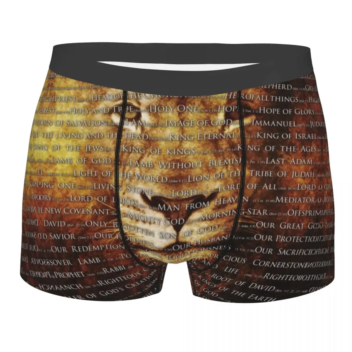 Male Cool The Names Of God Jesus Lion Underwear Christian Catholic Boxer Briefs Breathbale Shorts Panties Underpants