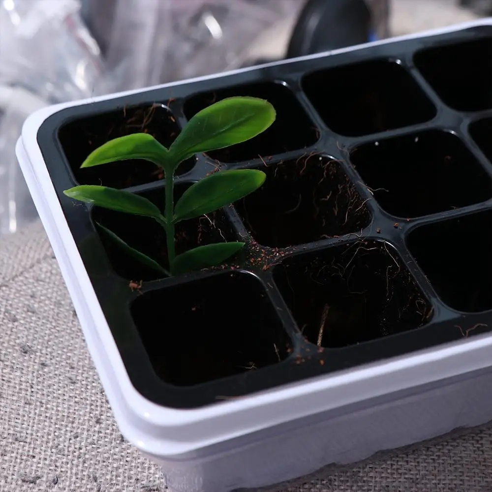 

Garden Grow Box With Cover 12 Cells Seedling Trays White Breathable Germination Box Square Plant Seedling Tray Bonsai