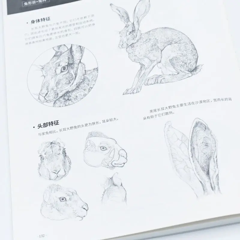 Making It Easy To Master Animal Drawing Skills Quick Sketch Map of Various Animal States, with Over 1000 Illustrations