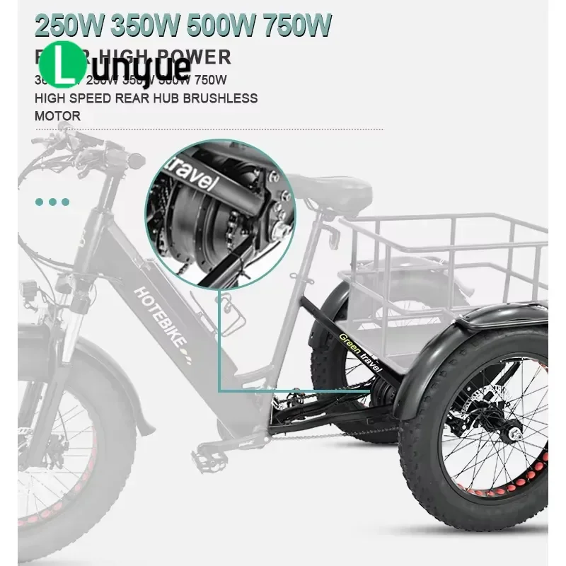 Adult Electric Cargo Tricycle 3 Wheel Ebike 48V 500W 750W 36V 20Ah Battery Pedal Assist E Trike for Delivery Commuting