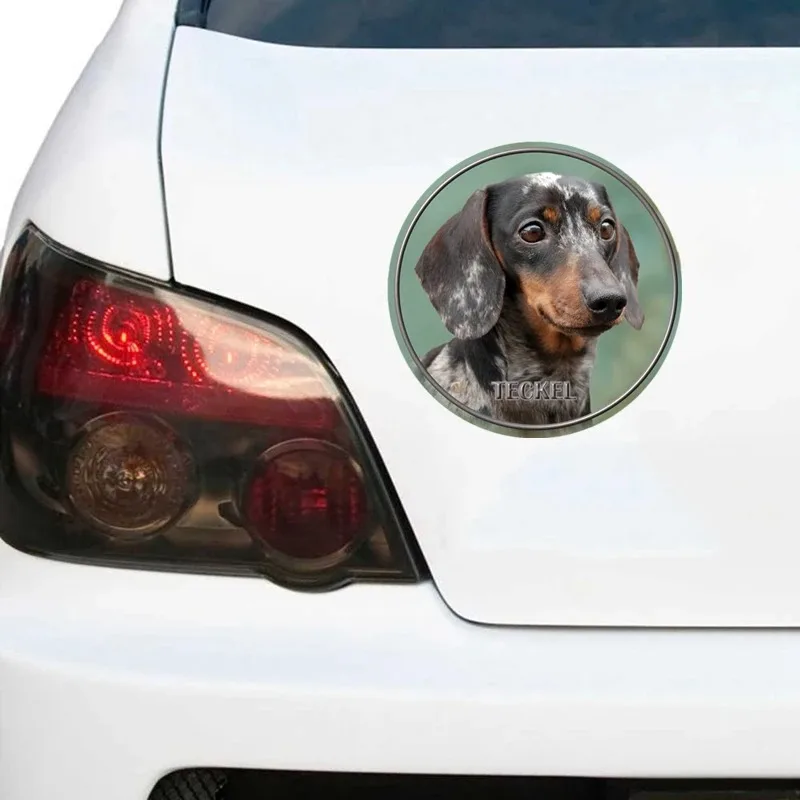 Decal Dachshund Shorthaired Dog V2 Car Sticker Waterproof Auto Decors for Bumper Rear Window Laptop  10CM/13CM/17CM PVC KK