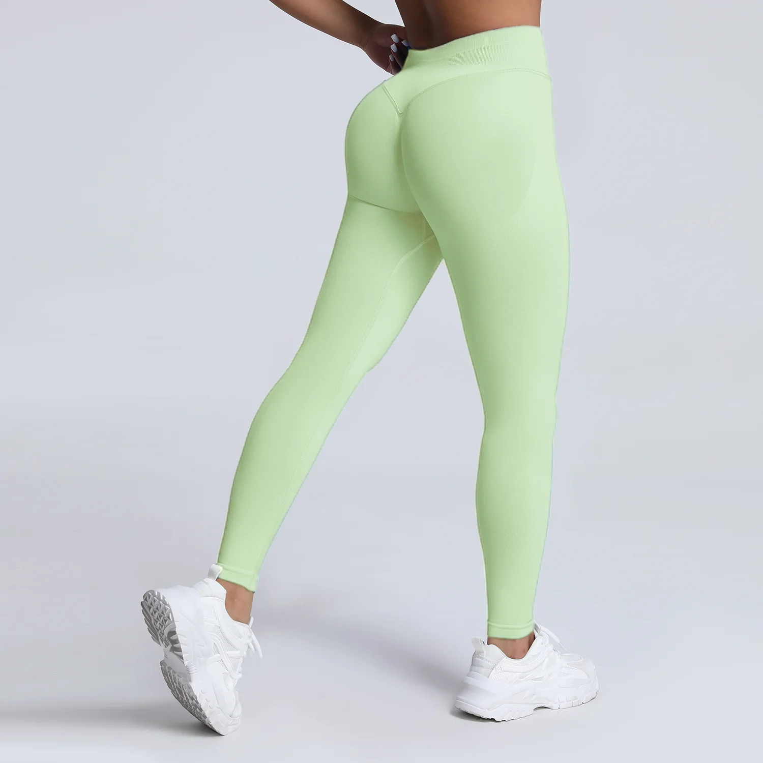 Palm Green