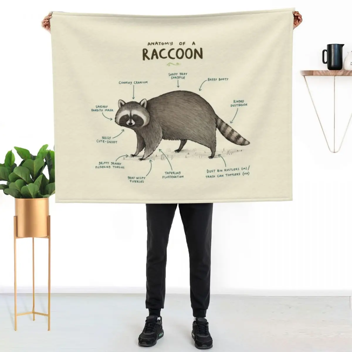 

Anatomy of a Raccoon Throw Blanket Cozy Light Blanket for Travel Camping Picnic