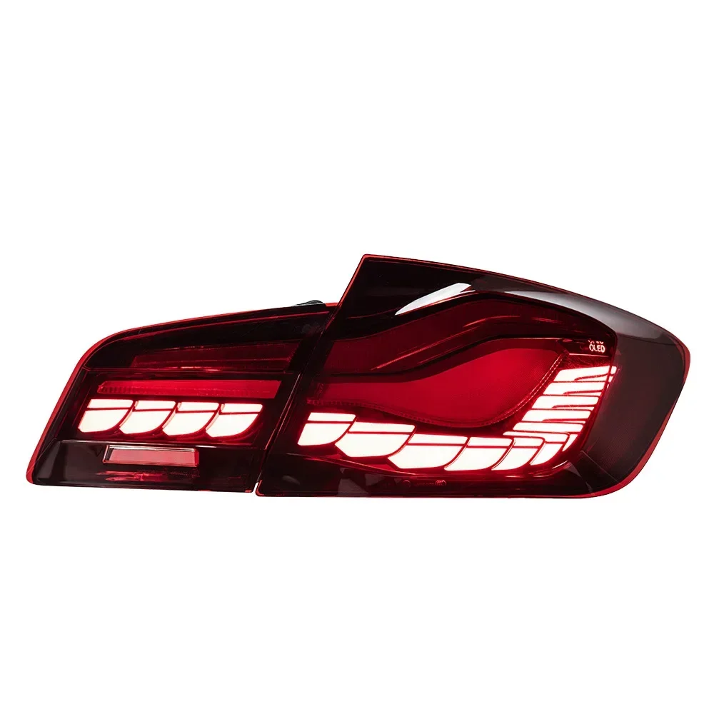 1 Unit For 5 Series F10 Tail Light Assembly 525/530 F18 Modified Dragon Scale LED 12V 6000K New Running Water Turn Signal Light