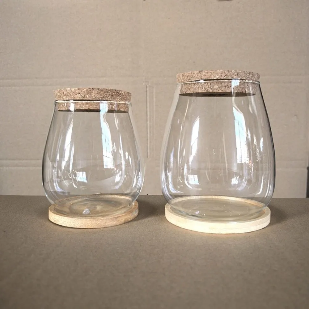 Transparent Hydroponic Flowerpot with Wooden Tray Glass Plant Propagation Station Decorative Mini Terrarium Office Decor